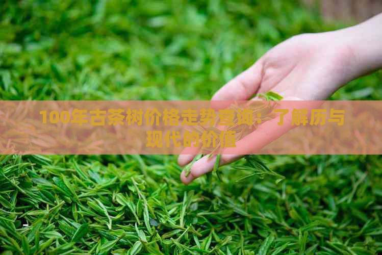 100年古茶树价格走势查询：了解历与现代的价值