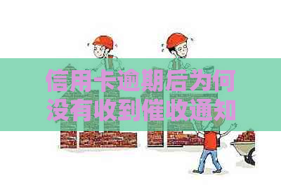 信用卡逾期后为何没有收到通知？如何解决逾期问题并避免类似情况发生？