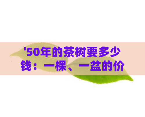 '50年的茶树要多少钱：一棵、一盆的价位，以及大小和特点'