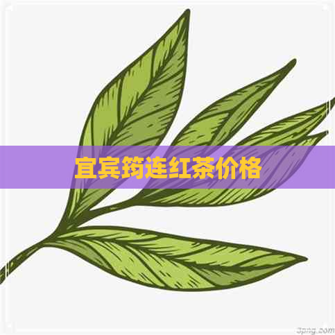 宜宾筠连红茶价格