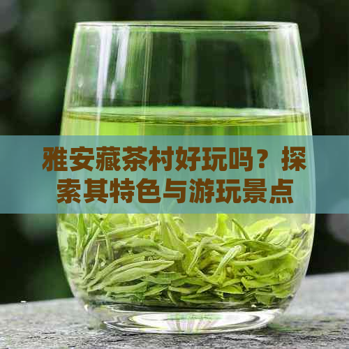 雅安藏茶村好玩吗？探索其特色与游玩景点