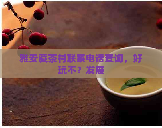 雅安藏茶村联系电话查询，好玩不？发展