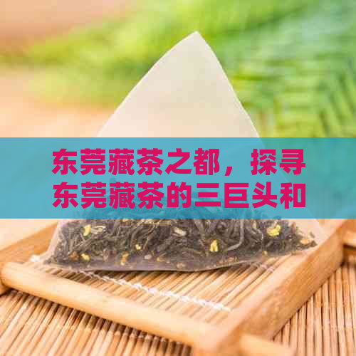 东莞藏茶之都，探寻东莞藏茶的三巨头和之一人，揭秘更大老板及产量真相。