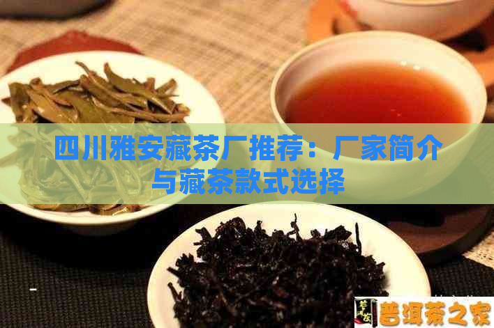 四川雅安藏茶厂推荐：厂家简介与藏茶款式选择