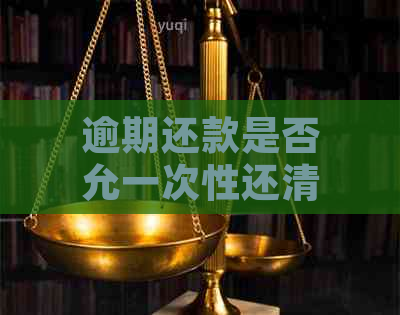 逾期还款是否允一次性还清？相关政策和操作流程解答