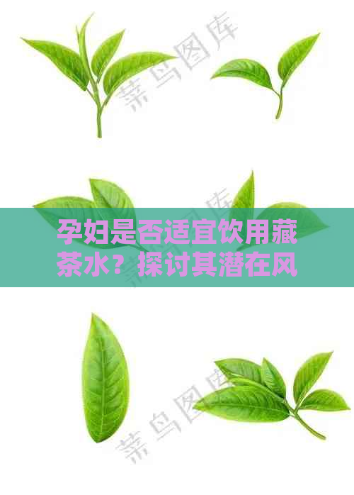 孕妇是否适宜饮用藏茶水？探讨其潜在风险与禁忌因素