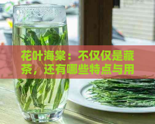 花叶海棠：不仅仅是藏茶，还有哪些特点与用途？