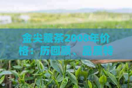 金尖藏茶2008年价格：历回顾、品质特点与市场表现一应俱全