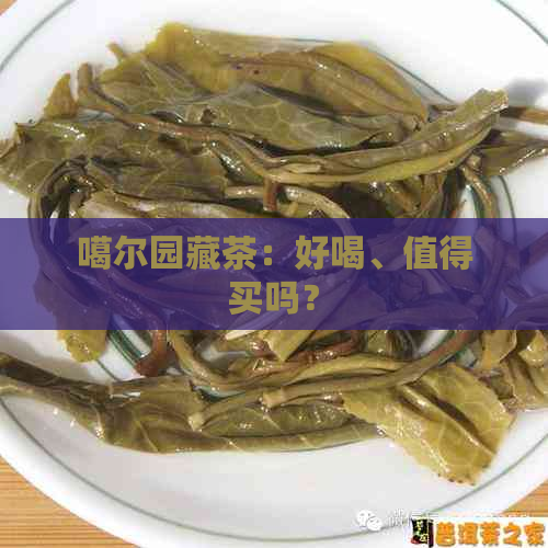 噶尔园藏茶：好喝、值得买吗？