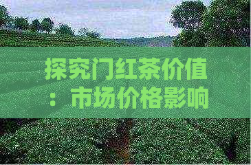 探究门红茶价值：市场价格影响因素及行业趋势分析