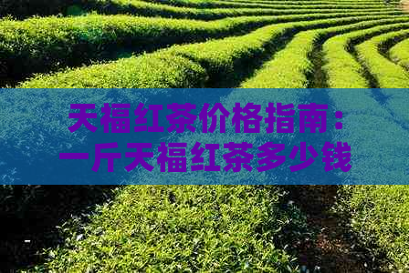 天福红茶价格指南：一斤天福红茶多少钱？购买时应注意哪些因素？