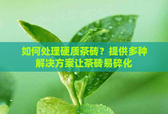 如何处理硬质茶砖？提供多种解决方案让茶砖易碎化