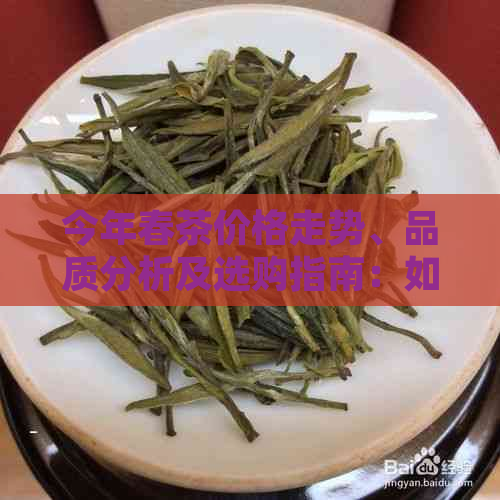 今年春茶价格走势、品质分析及选购指南：如何找到最适合您的茶叶？