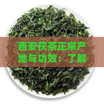 西安茯茶正宗产地与功效：了解西安茯茶的品质与作用