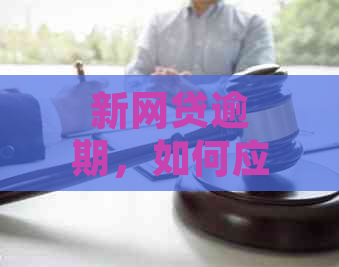 新网贷逾期，如何应对上门和提档案问题？