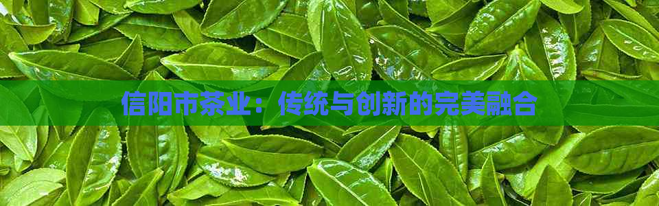 信阳市茶业：传统与创新的完美融合