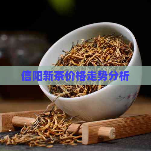 信阳新茶价格走势分析