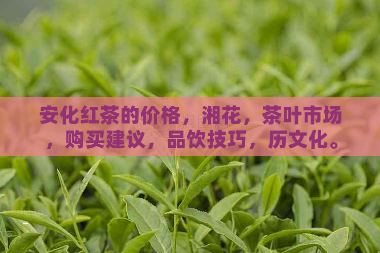 安化红茶的价格，湘花，茶叶市场，购买建议，品饮技巧，历文化。