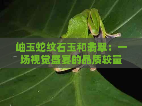 岫玉蛇纹石玉和翡翠：一场视觉盛宴的品质较量