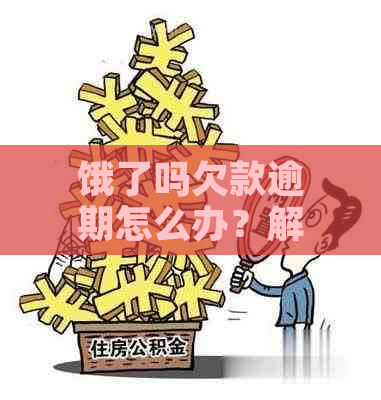 饿了吗欠款逾期怎么办？解决办法全解析及影响分析