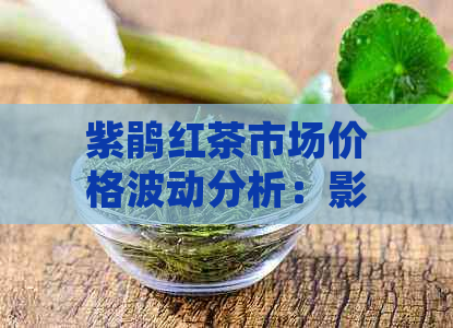 紫鹃红茶市场价格波动分析：影响因素与未来趋势预测