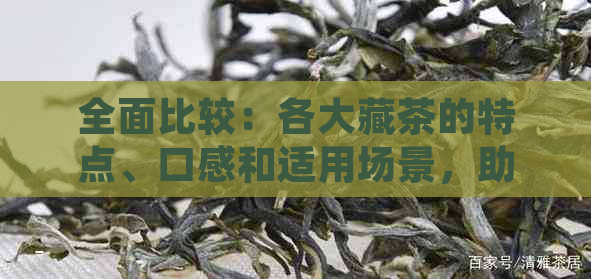 全面比较：各大藏茶的特点、口感和适用场景，助您轻松选择最适合的茶叶