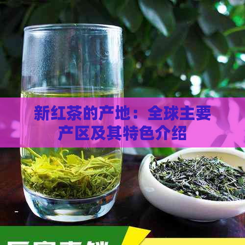 新红茶的产地：全球主要产区及其特色介绍