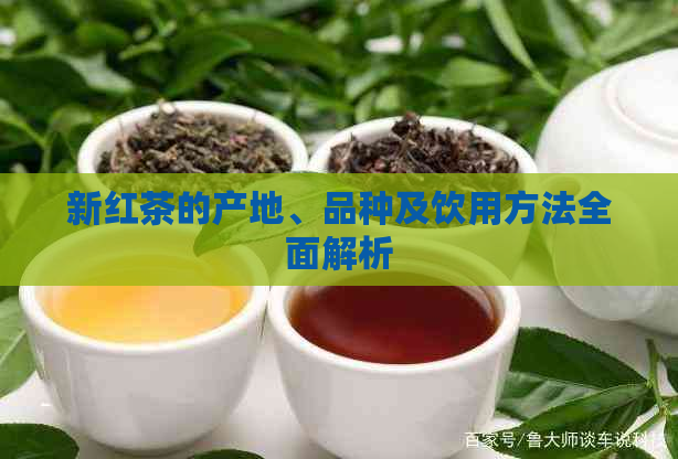 新红茶的产地、品种及饮用方法全面解析