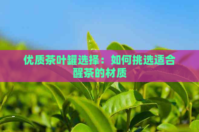 优质茶叶罐选择：如何挑选适合醒茶的材质