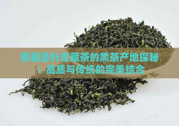      圣叶吉藏茶的黑茶产地探秘：品质与传统的完美结合