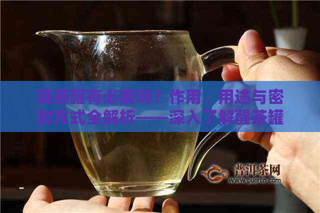 醒茶罐有必要吗？作用、用途与密封方式全解析——深入了解醒茶罐的真正价值