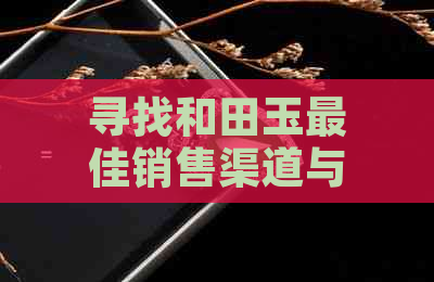 寻找和田玉更佳销售渠道与价格优惠策略：全面解析市场动态与购买建议