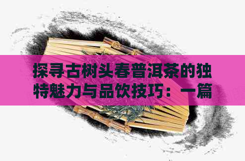 探寻古树头春普洱茶的独特魅力与品饮技巧：一篇全面解答