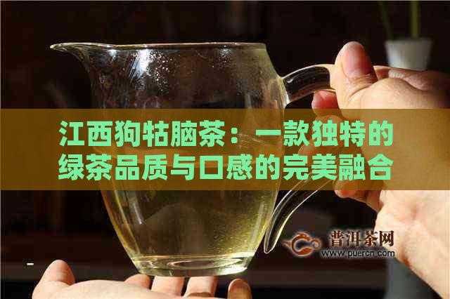 江西狗牯脑茶：一款独特的绿茶品质与口感的完美融合