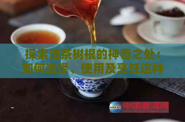 探索泡茶树根的神奇之处：如何选择、使用及烹饪这种独特的茶材料