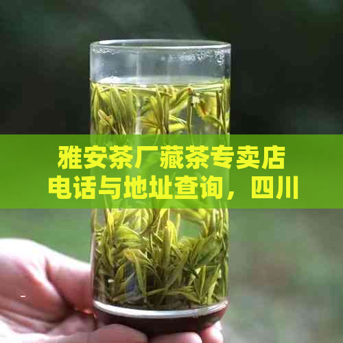 雅安茶厂藏茶专卖店电话与地址查询，四川雅安藏茶厂排名及厂家联系方式