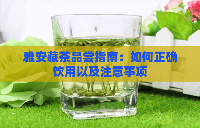 雅安藏茶品尝指南：如何正确饮用以及注意事项