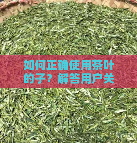 如何正确使用茶叶的子？解答用户关于子使用方法的全面疑问