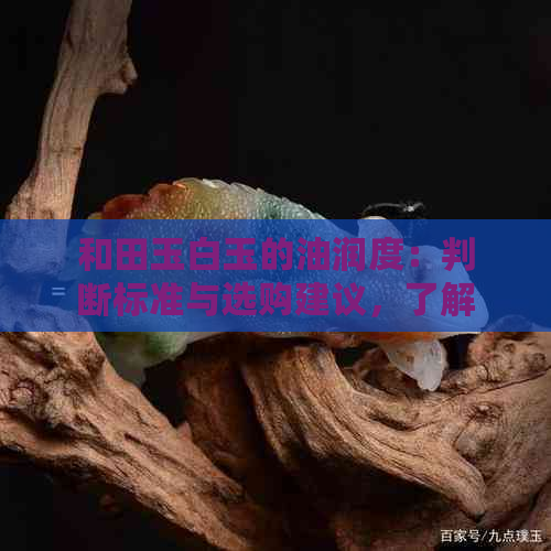 和田玉白玉的油润度：判断标准与选购建议，了解合适的油润度范围