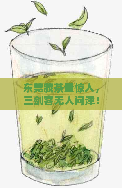 东莞藏茶量惊人，三剑客无人问津！30万吨茶叶落寞，莞藏普洱时代结。