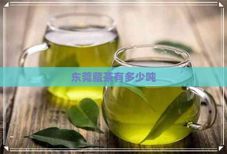 东莞藏茶有多少吨