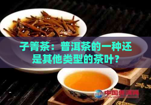 子箐茶：普洱茶的一种还是其他类型的茶叶？