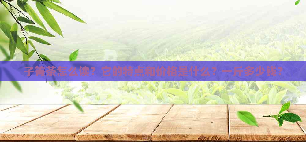 子箐茶怎么读？它的特点和价格是什么？一斤多少钱？