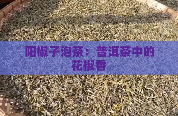 阳椒子泡茶：普洱茶中的花椒香