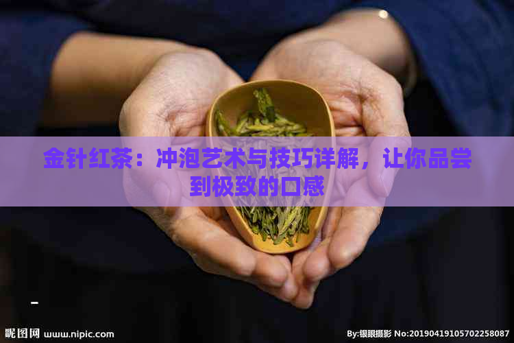 金针红茶：冲泡艺术与技巧详解，让你品尝到极致的口感