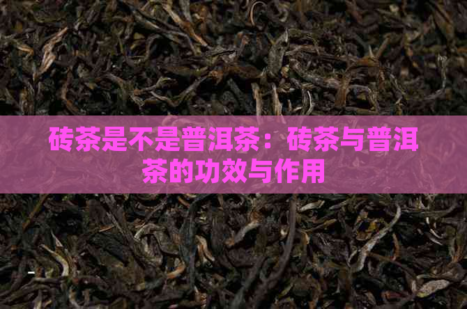 砖茶是不是普洱茶：砖茶与普洱茶的功效与作用