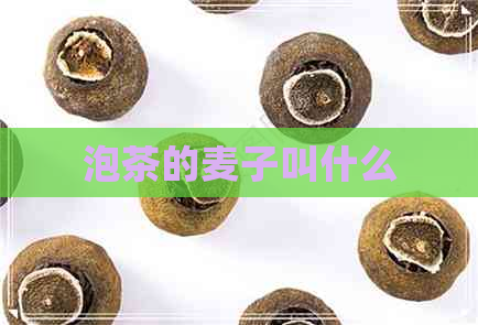 泡茶的麦子叫什么