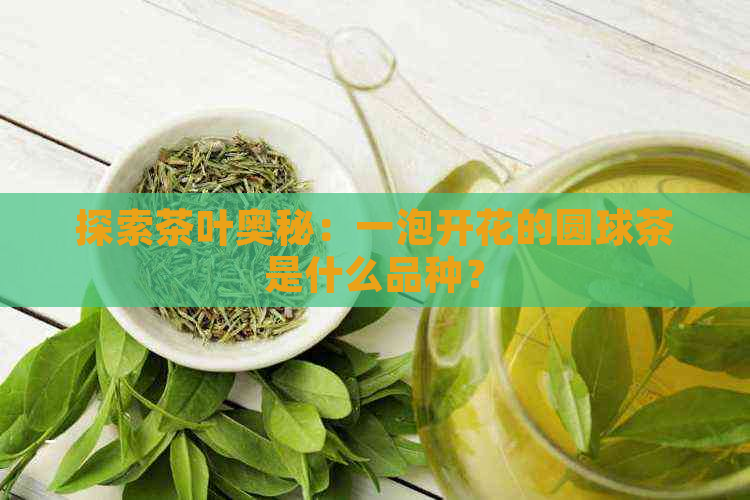 探索茶叶奥秘：一泡开花的圆球茶是什么品种？