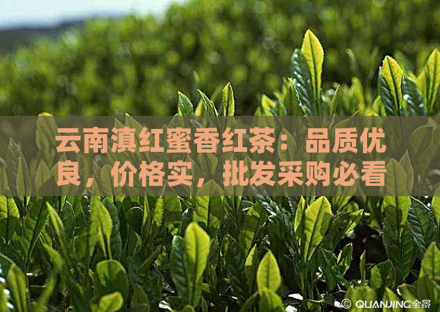 云南滇红蜜香红茶：品质优良，价格实，批发采购必看