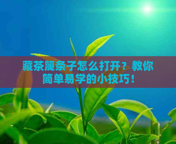 藏茶篾条子怎么打开？教你简单易学的小技巧！